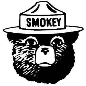 only you can prevent wildfires