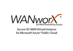 WANworX<sup>®</sup> Virtual Instance